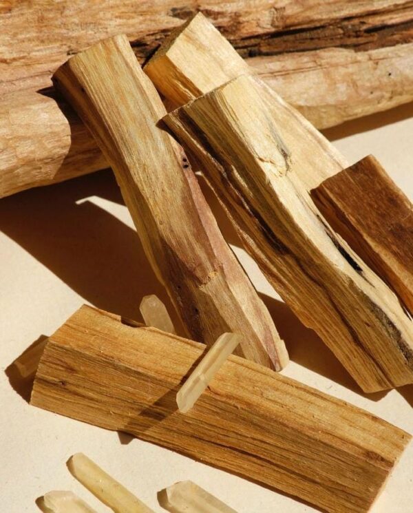 Palo Santo - Madera Sagrada - Image 3