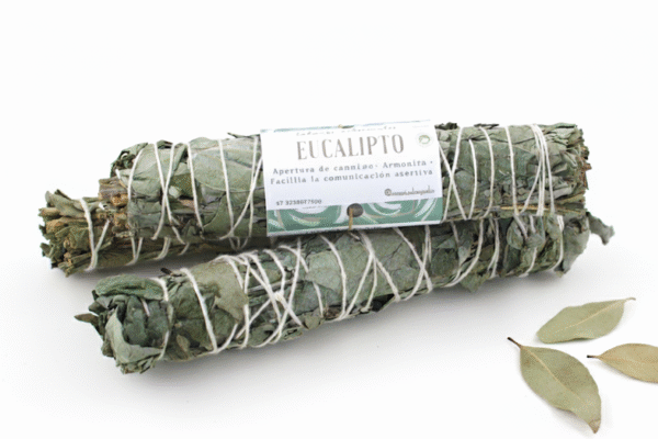 Atado artesanal de aucalipto para sahumar y aromatizar espacios.
