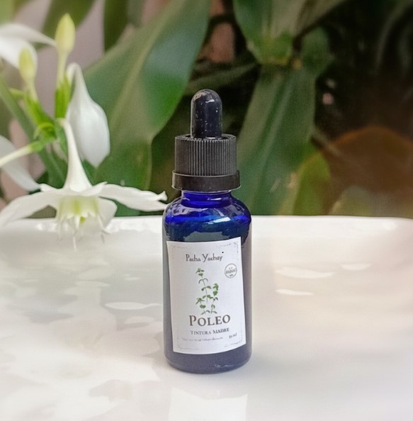 Tintura Madre de Poleo (extracto natural)