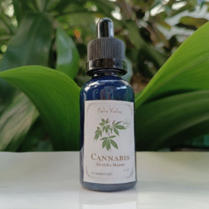 Tintura Madre de Cannabis Medicinal (extracto natural)
