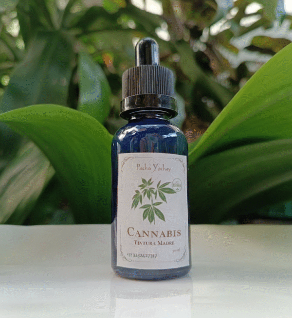 Tintura Madre de Cannabis Medicinal (extracto natural)