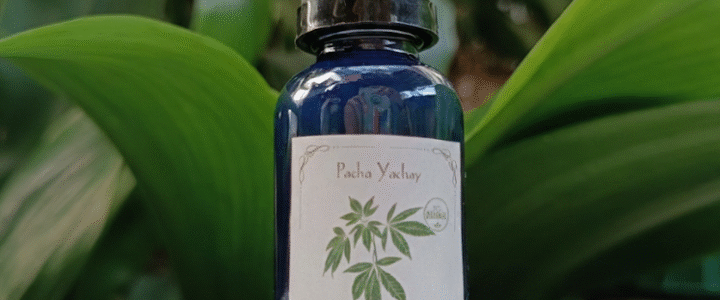 Tintura Madre de Cannabis Medicinal (extracto natural)