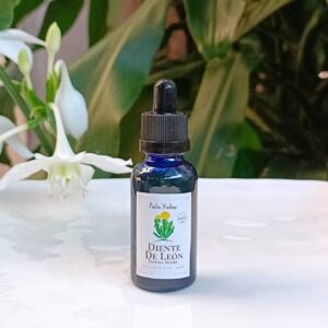 Tintura Madre de Diente de León (extracto natural)