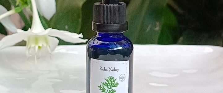 Tintura Madre de Ajenjo (extracto natural)