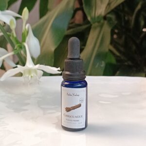 Tintura Madre de Chilcuague (extracto natural)