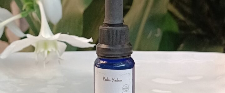 Tintura Madre de Chilcuague (extracto natural)