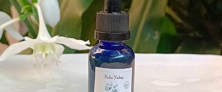 Tintura Madre de Eucalipto (extracto natural)
