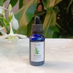 Tintura Madre de Paico (extracto natural)