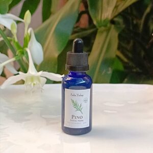 Tintura Madre de Pino (extracto natural)
