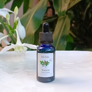 Tintura Madre de Sauco (extracto natural)
