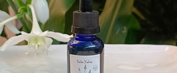 Tintura Madre de Verbena (extracto natural)