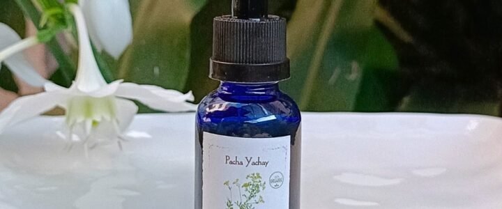 Tintura Madre de Ruda (extracto natural)