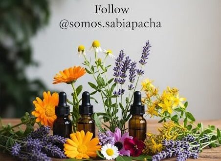 ¡Conoce Nuestro Trabajo!